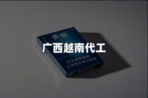 广西越南代工